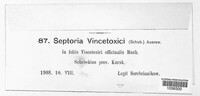 Septoria vincetoxici image